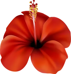 Vibrant_ Red_ Hibiscus_ Clipart.png PNG image