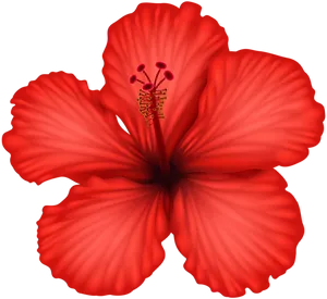 Vibrant Red Hibiscus Flower