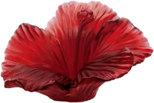 Vibrant Red Hibiscus Flower PNG image