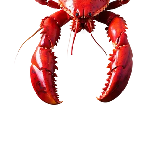 Vibrant Red Lobster Artwork Png 26 PNG image