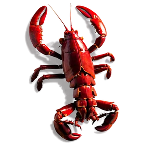 Vibrant Red Lobster Artwork Png Wsq PNG image