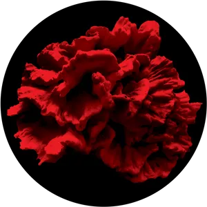 Vibrant Red Peony Flower PNG