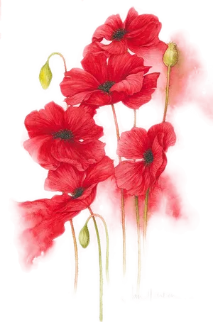 Vibrant Red Poppies Artwork