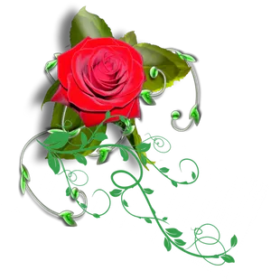 Vibrant Red Rose Artwork