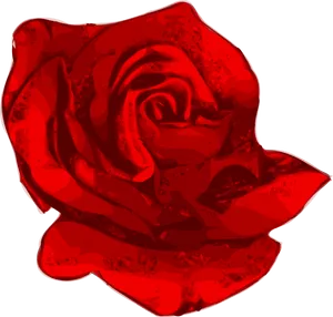 Vibrant Red Rose Graphic
