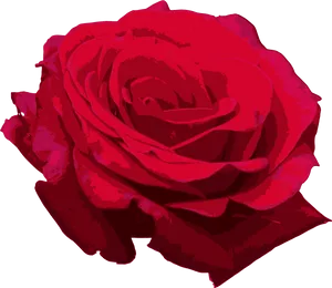 Vibrant Red Rose Graphic