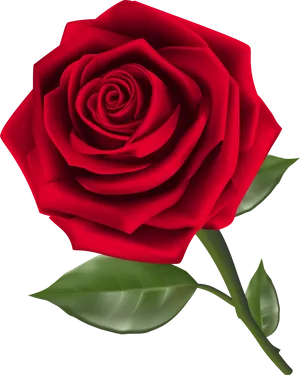 Vibrant Red Rose Graphic