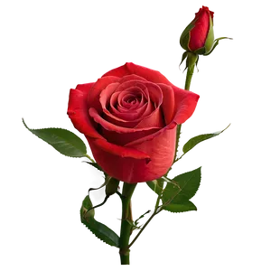 Vibrant Red Rose Png Rod70 PNG image