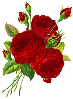 Vibrant Red Roses Artwork.png PNG image