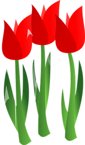 Vibrant Red Tulips Vector PNG image