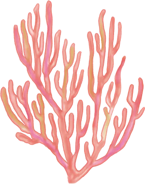 Vibrant Sea Fan Coral PNG image