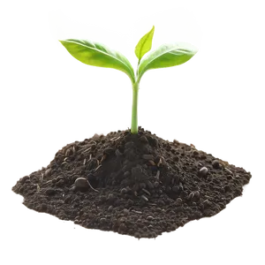 Vibrant Soil Texture PNG 16 PNG