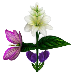 Vibrant Spring Flower Png 47 PNG image