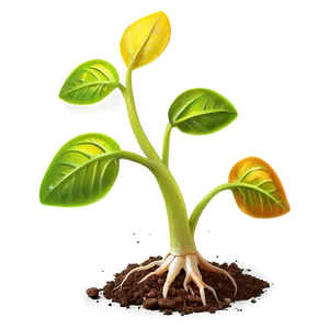 Vibrant Sprout PNG Khv9