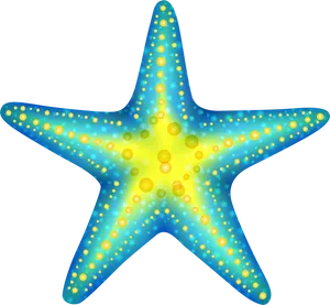 Vibrant Starfish Clipart PNG image