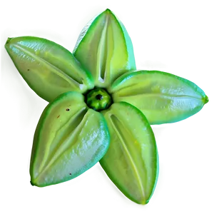 Vibrant Starfruit PNG 05232024
