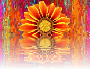 Vibrant Summer Bloom Reflection PNG image