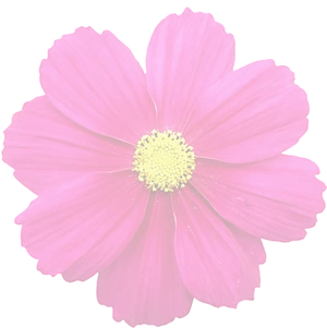 Vibrant Summer Bloom