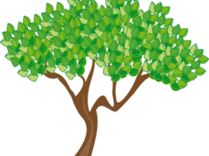 Vibrant Summer Tree Clipart PNG image