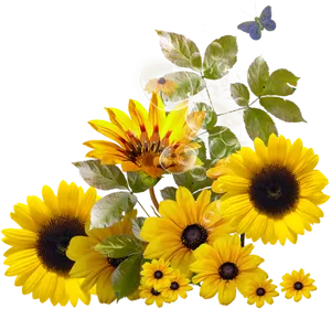 Vibrant Sunflower Arrangement PNG image