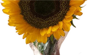 Vibrant Sunflower Bouquet.png PNG image