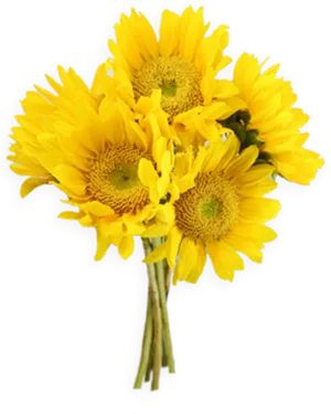 Vibrant_ Sunflower_ Bouquet.png PNG image