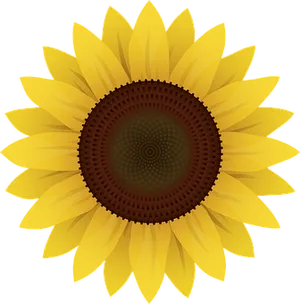 Vibrant Sunflower Graphic