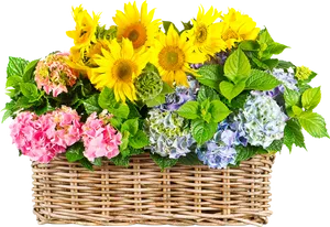 Vibrant_ Sunflower_ Hydrangea_ Basket_ Bouquet.png PNG image