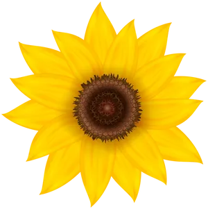 Vibrant Sunflower Illustration