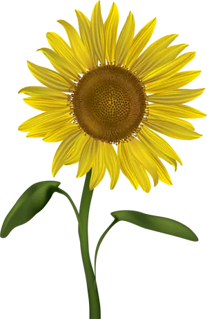 Vibrant Sunflower Illustration.png PNG image