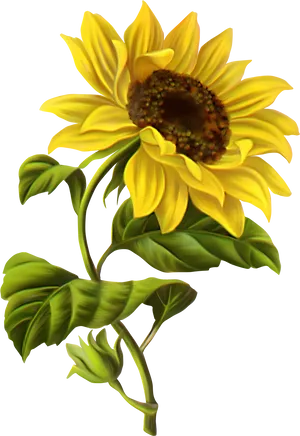 Vibrant Sunflower Illustration PNG image