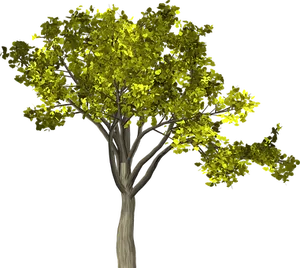 Vibrant Tree Black Background