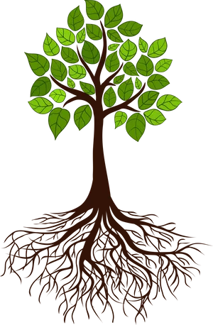 Vibrant Tree Silhouettewith Roots PNG image