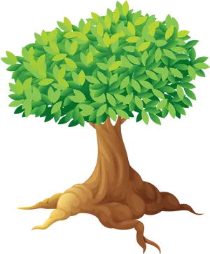 Vibrant Treewith Exposed Roots PNG image