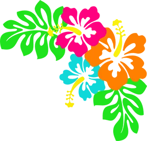 Vibrant Tropical Floral Graphic PNG image