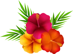 Vibrant_ Tropical_ Hibiscus_ Flowers PNG image