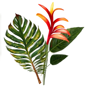 Vibrant Tropical Plants PNG Hqy