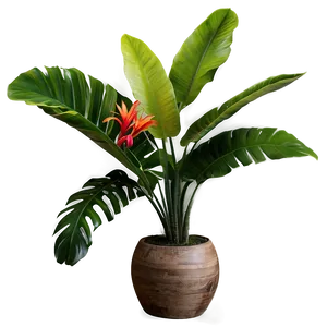 Vibrant Tropical Plants PNG Sen PNG