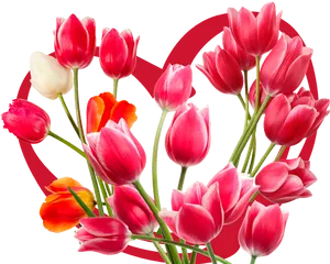 Vibrant_ Tulip_ Bouquet_ Heart_ Background PNG image