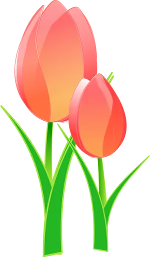 Vibrant Tulips Illustration PNG image