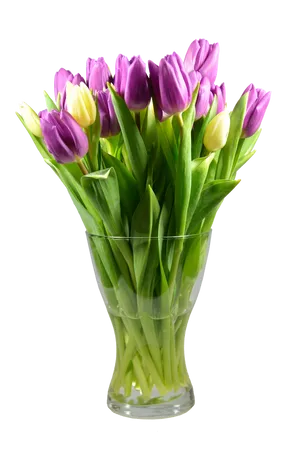 Vibrant_ Tulips_in_ Glass_ Vase PNG image