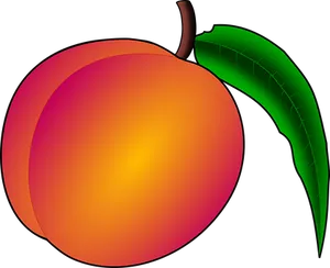 Vibrant Vector Peach PNG image