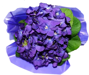 Vibrant Violet Flowers Cluster.png PNG image