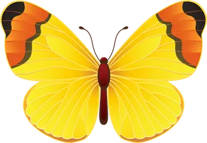 Vibrant Yellow Butterfly Illustration PNG image