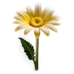 Vibrant Yellow Daisy Flower Png Adl77 PNG image