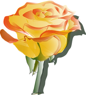 Vibrant Yellow Orange Rose Art