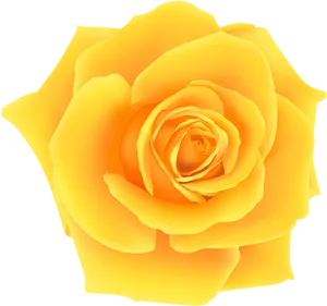 Vibrant Yellow Rose Isolated PNG image