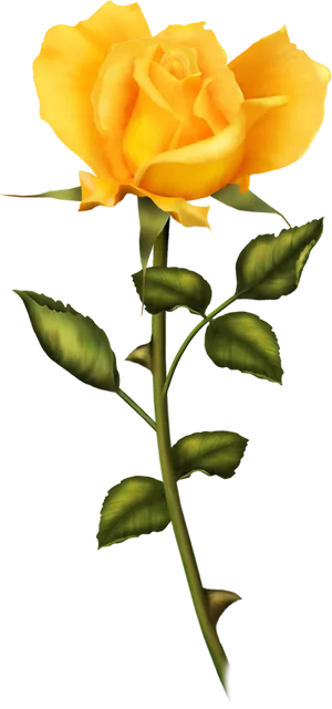 Vibrant Yellow Rose Stem PNG image