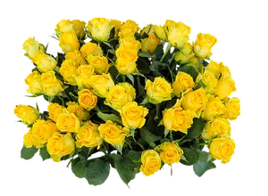 Vibrant Yellow Roses Bouquet PNG image
