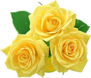 Vibrant Yellow Roses Bouquet PNG image